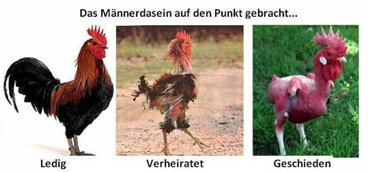 Männerdasein.jpg