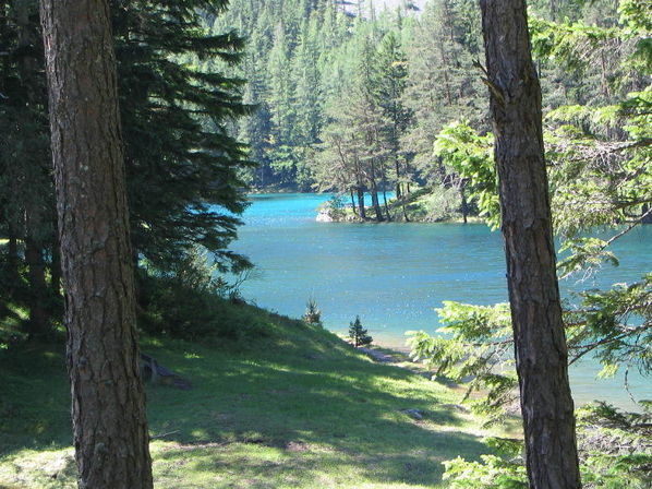 1298846029_1.jpg