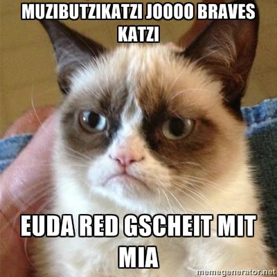 Katze.jpg