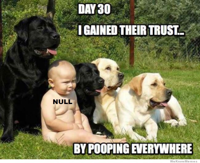 NULL pooping.jpg