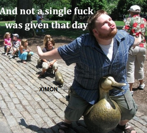 31.png