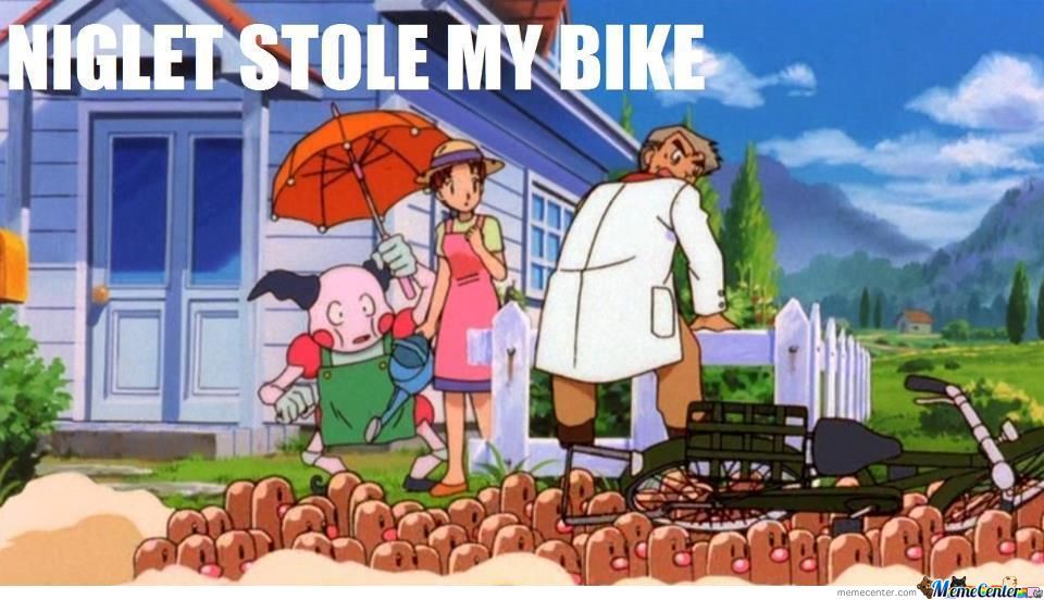 stole-my-bike_o_852890.jpg