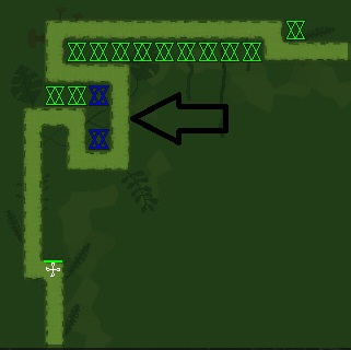 Green Bug.jpg